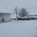 모아팜2 이미지