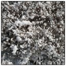 야곱부동산공인중개사사무소 이미지