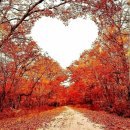 (주)요아스 이미지