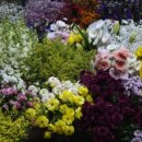 에버그린치과의원 이미지