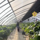 대림4농장 이미지