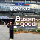 초량꽃집 | 부산역 시간 때우기 좋은 가볼만한곳 추천