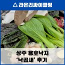 용호동낙지 상주점