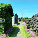 애월이오 이미지