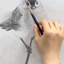 감성드로잉(연필화) 이미지