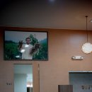 장생도라지박물관 이미지