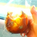 인천 주안 노포 빵집 '빵이 가득한 집', 가성비와 맛 모두 잡은 내 돈 내산 후기