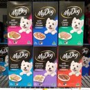 MY DOG(마이도그) 이미지