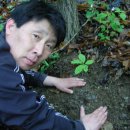 감먹은 토끼 이미지