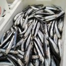 여수 가볼만한곳 베스트10 추천