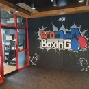 프로팀스타 복싱 이미지