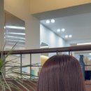 선 미용실 이미지