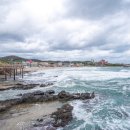 영천 과전동 일본식 가옥 이미지