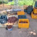 귀천농장 이미지