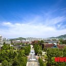 나노케어플러스
