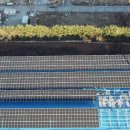 씨에스엔컴퍼니 태양광발전소 이미지