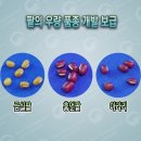 5.팥 품종 주요 특성 이미지