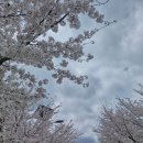 금강수변공원(대평동) 이미지