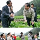 동막동(6) 이미지