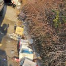 서해대로 이미지