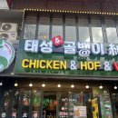 태성 골뱅이 신사 낙원점 | 종로3가 골뱅이 탕 무침 내돈내산 후기