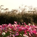 텅빈충만 이미지