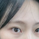 브로우나우