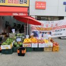 야채랑과일천국 - 파주시 문향로 59-1 | 야채랑과일천국