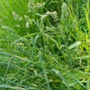 불광천5 이미지