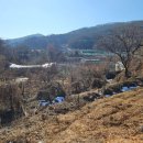 11월6일 이병철의 뉴스클리핑 이미지