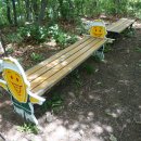 선석산 등산로 이미지