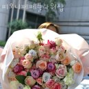 피오니페페