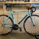 퍼피스타 이미지