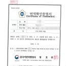 부부번역행정사사무소 이미지
