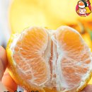 포천쌀상회 이미지