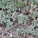 상계교 화장실 이미지