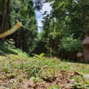 남원목장 이미지