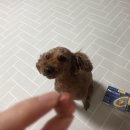 다운약국 이미지