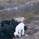 김용선 농장 이미지