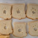 쌀쌀하당 이미지