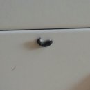 뷰티펫동물병원 이미지