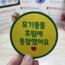 이도메디 이미지