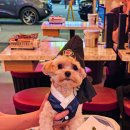 발짝 상봉점 이미지