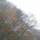 첼로모텔 이미지