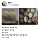으니네보물창고