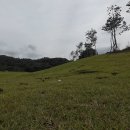 모나크cc 이미지