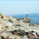 돌산유람선선착장 이미지