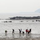 바다가1 이미지