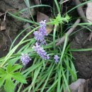 토산1리 이미지