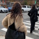 J1872 | [ Wishlist ] 퍼자켓 위시리스트 ( 오브오브, 시눈, 주르티, 루에브르, 오데스, 에이치모드, 쏘딩키...